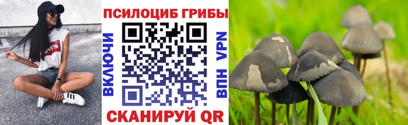 mega сайт  Цивильск  даркнет наркотические препараты  Галлюциногенные грибы мухоморы 