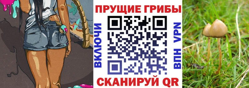 Псилоцибиновые грибы ЛСД Цивильск